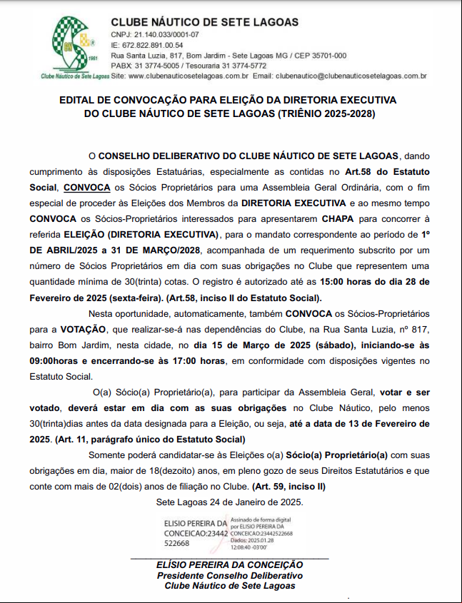 PDF ELEICOES